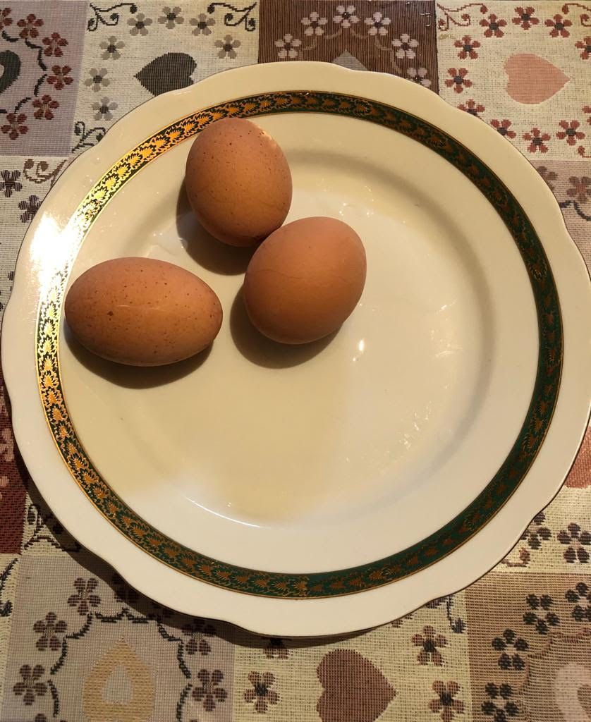 Warsztaty kulinarne - jajka na talerzu