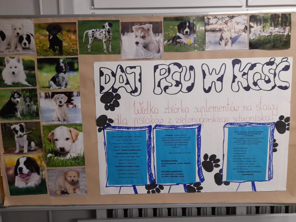 Plakat informacyjny Akcji charytatywnej na rzecz zielonogórskiego schroniska dla bezdomnych psów i kotów Daj psu w kość!