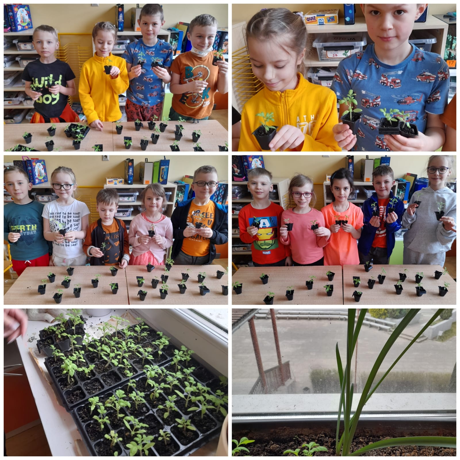 Dzieci sadzą warzywa z doniczkach