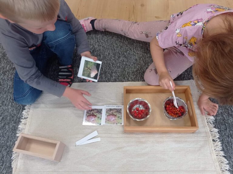 Grupa Rybki bierze udział w Ogólnopolskim Projekcie Edukacyjnym " Świecie Montessori". Temat październikowy półka tematyczna "Jesień"