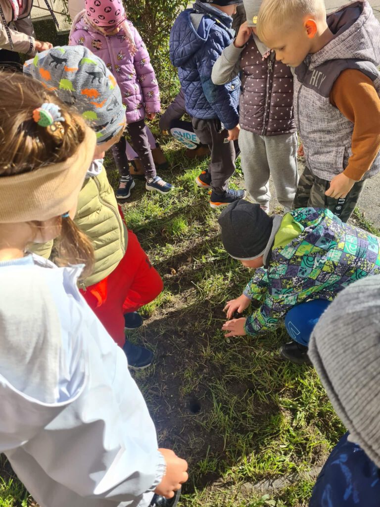 Sadzenie cebulek w ramach akcji Pola Nadziei przez Mrówki, Rybki i Zajączki
