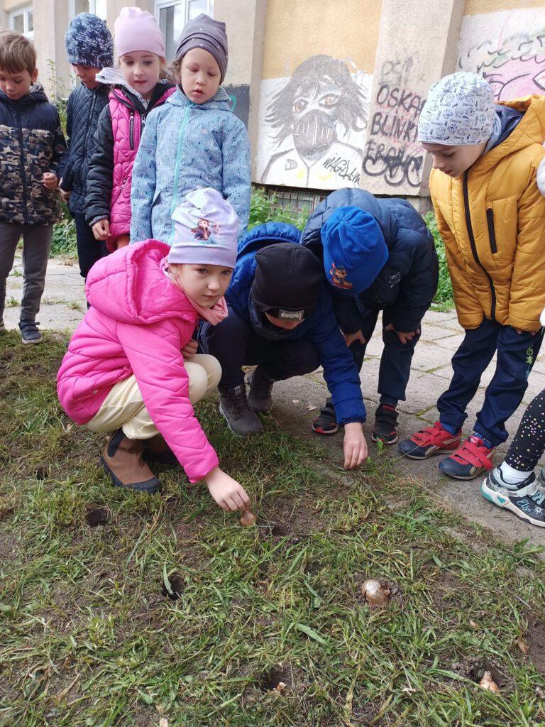 Sadzenie cebulek w ramach akcji Pola Nadziei przez Mrówki, Rybki i Zajączki