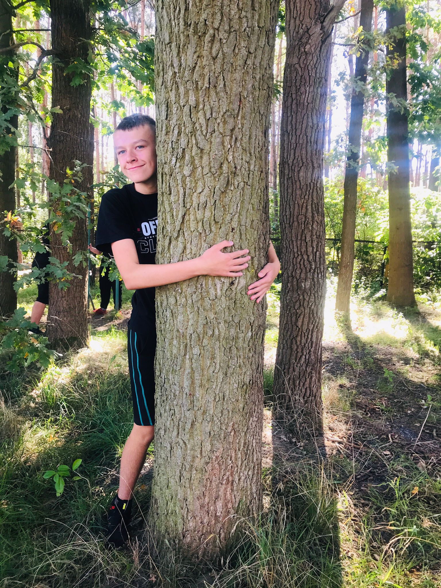 Przytul się do drzewa
