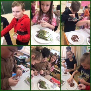 uczniowie w klasie sadzą w słoiczkach i na talerzach ziarenka rzeżuchy