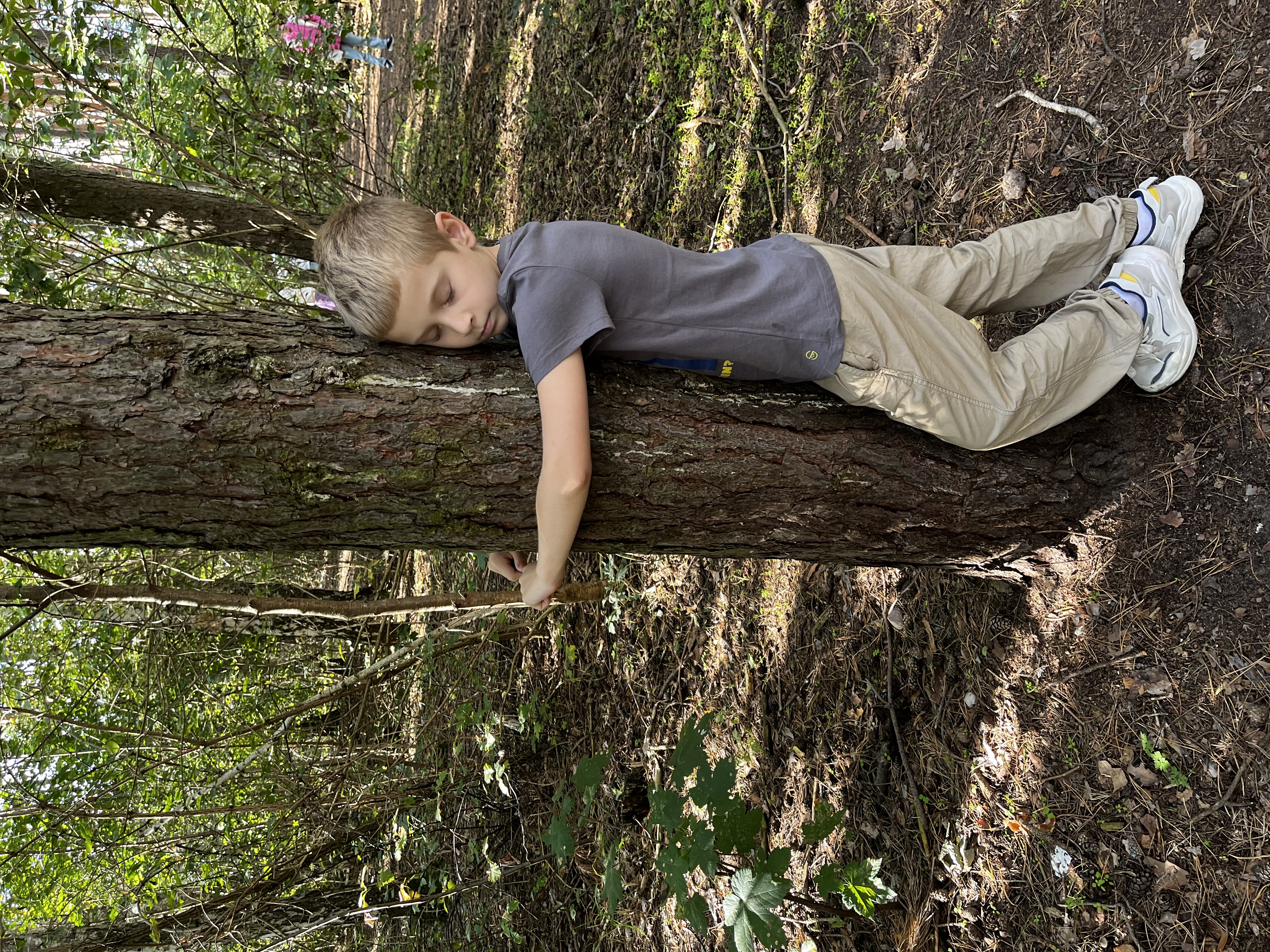 Przytul się do drzewa kl. 3B