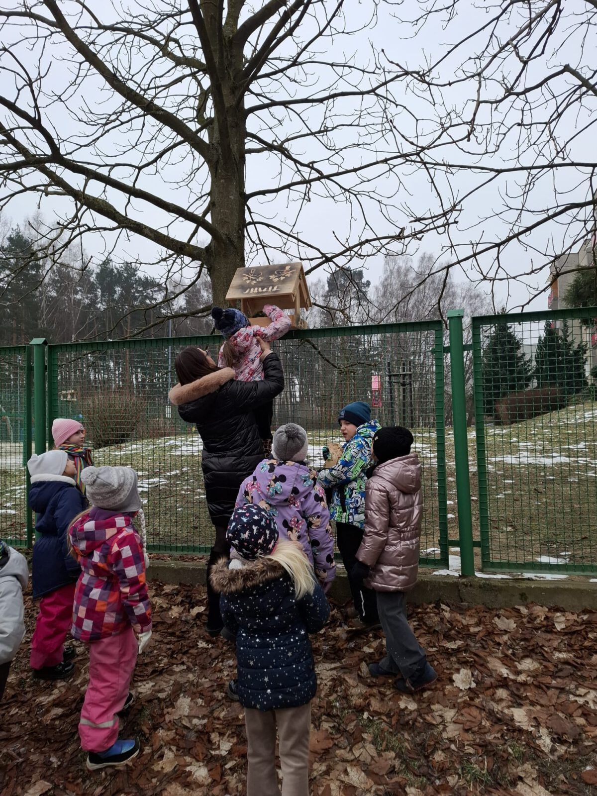 Dzieci z naszego przedszkola pamiętają o skrzydlatych przyjaciołach także zimą. ❄️🐦