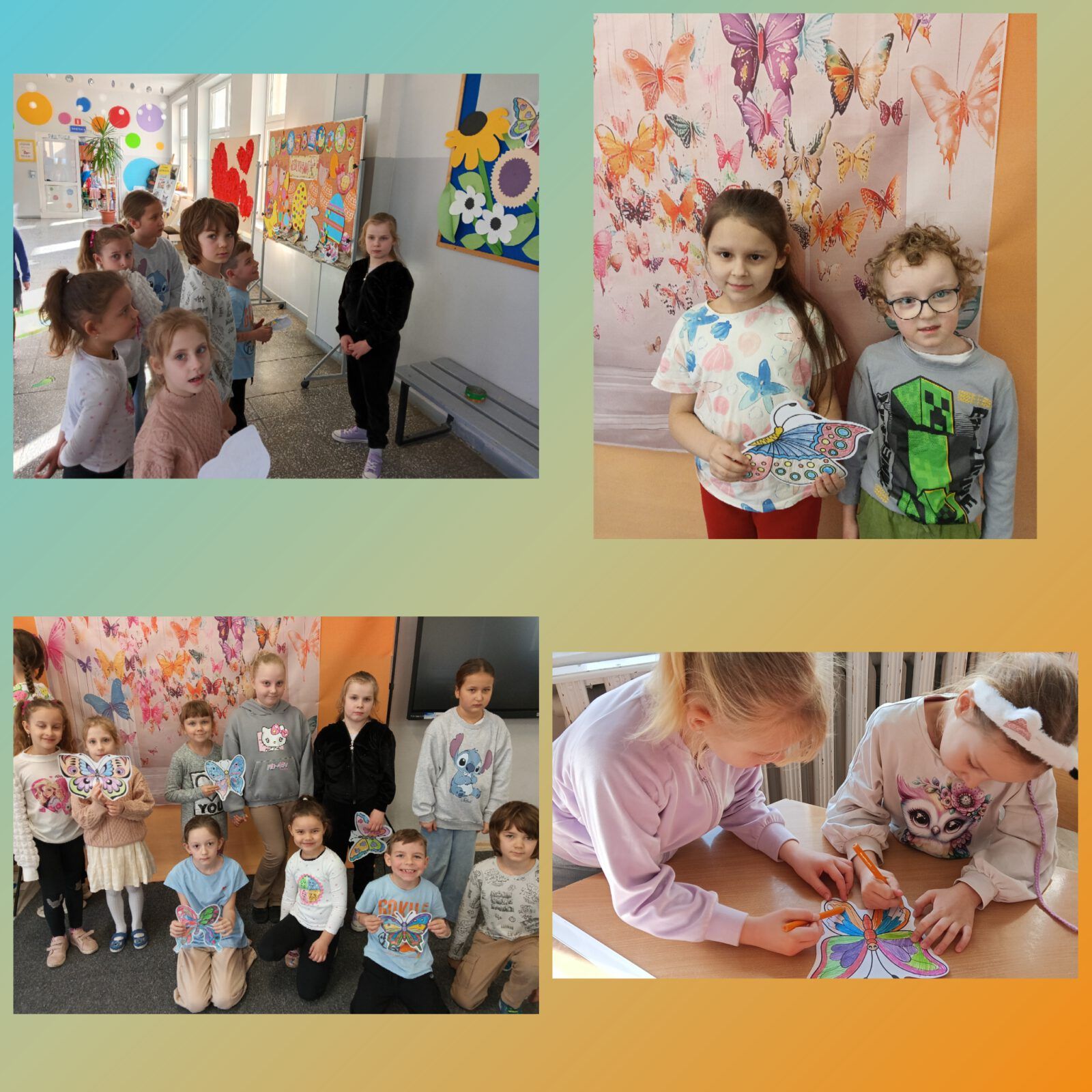 Kolorowy świat motyli