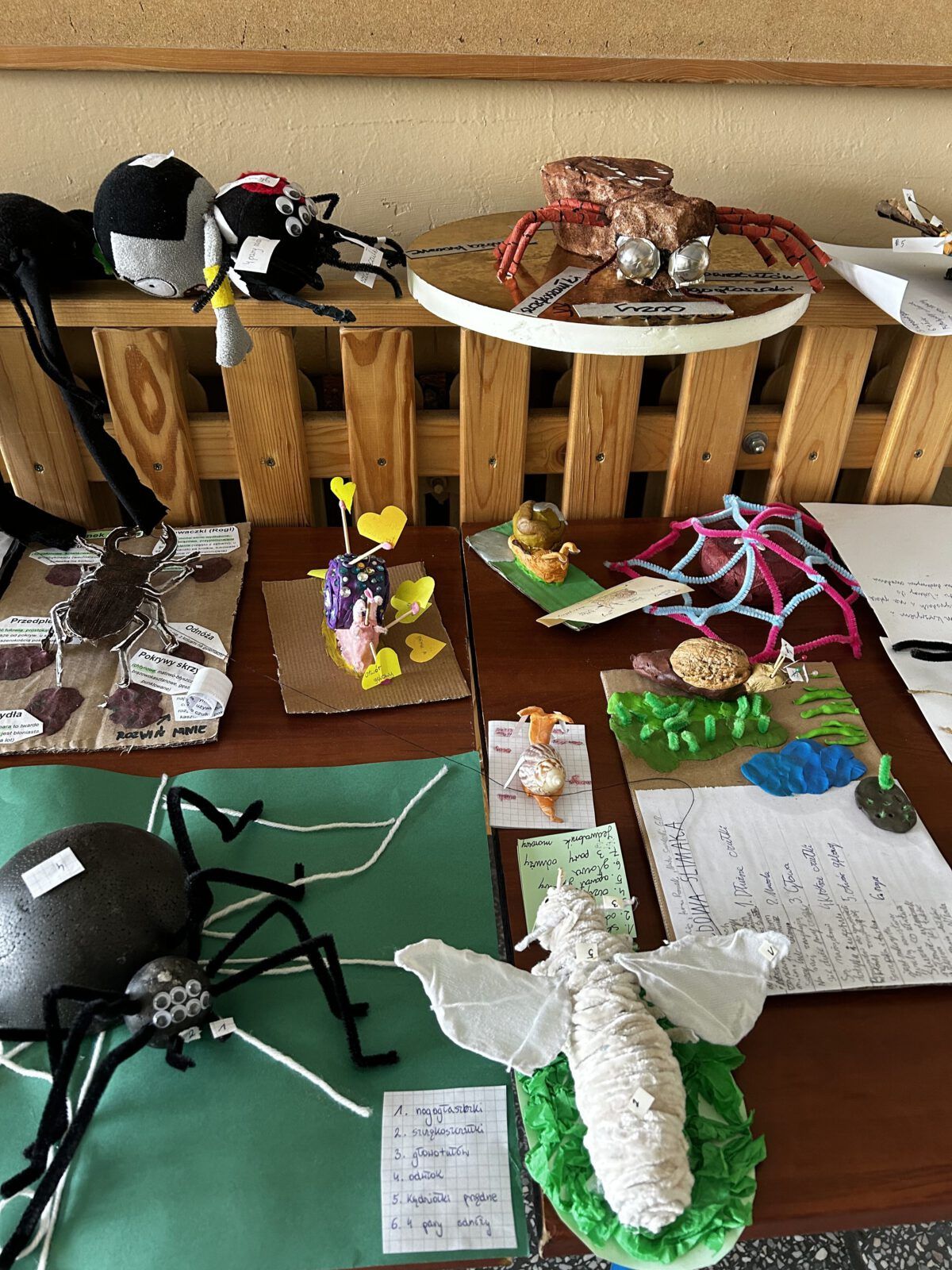 Projekt uczniów klas 6 szkoły podstawowej pt. „Model stawonoga lub mięczaka”